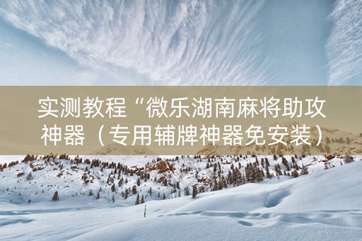 实测教程“微乐湖南麻将助攻神器（专用辅牌神器免安装）