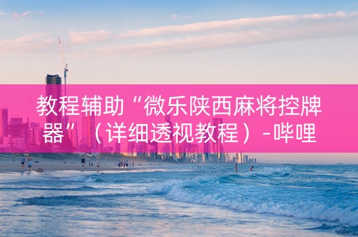 教程辅助“微乐陕西麻将控牌器”（详细透视教程）-哔哩哔哩