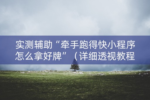 实测辅助“牵手跑得快小程序怎么拿好牌”（详细透视教程）-哔哩哔哩
