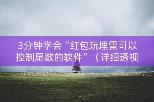 3分钟学会“红包玩埋雷可以控制尾数的软件”（详细透视教程）-哔哩哔哩