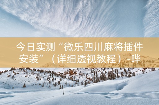 今日实测“微乐四川麻将插件安装”（详细透视教程）-哔哩哔哩
