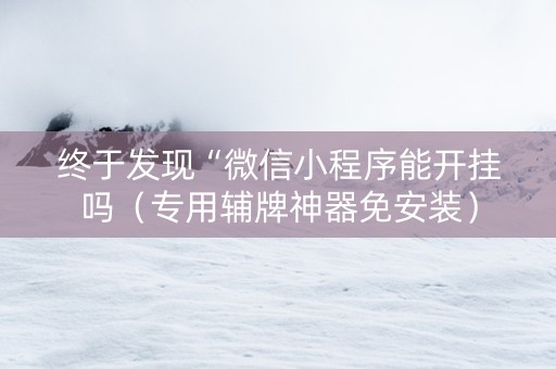 终于发现“微信小程序能开挂吗（专用辅牌神器免安装）