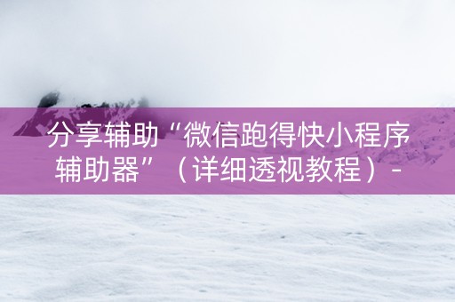 分享辅助“微信跑得快小程序辅助器”（详细透视教程）-哔哩哔哩