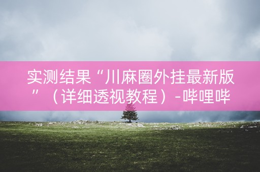 实测结果“川麻圈外挂最新版”（详细透视教程）-哔哩哔哩