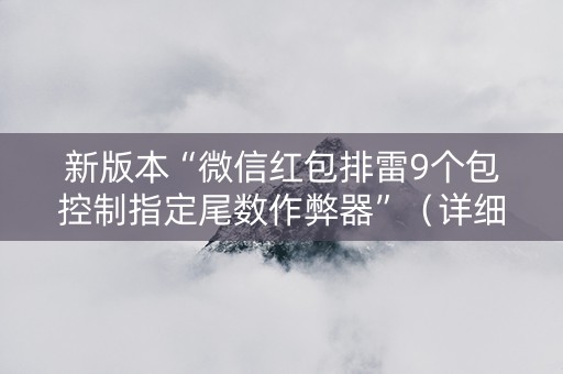 新版本“微信红包排雷9个包控制指定尾数作弊器”（详细透视教程）-哔哩哔哩
