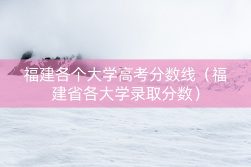 福建各个大学高考分数线（福建省各大学录取分数）