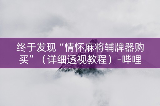 终于发现“情怀麻将辅牌器购买”（详细透视教程）-哔哩哔哩