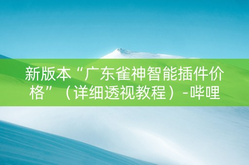 新版本“广东雀神智能插件价格”（详细透视教程）-哔哩哔哩