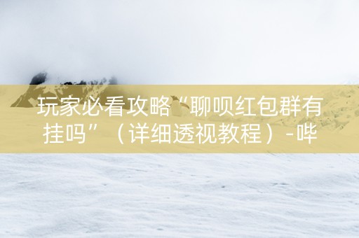 玩家必看攻略“聊呗红包群有挂吗”（详细透视教程）-哔哩哔哩