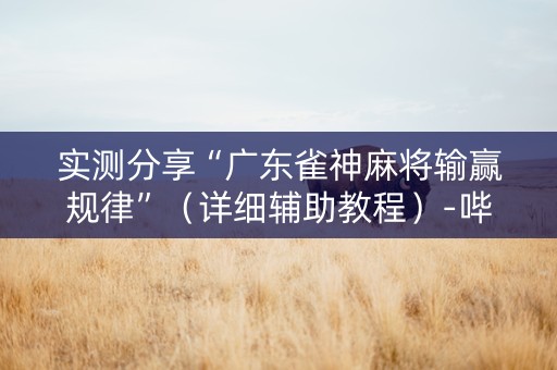 实测分享“广东雀神麻将输赢规律”（详细辅助教程）-哔哩哔哩