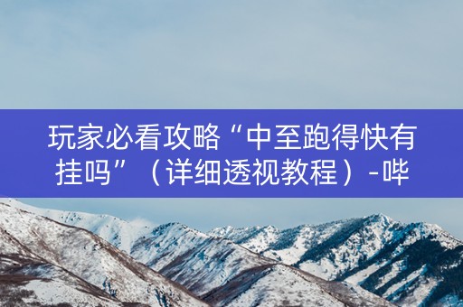 玩家必看攻略“中至跑得快有挂吗”（详细透视教程）-哔哩哔哩