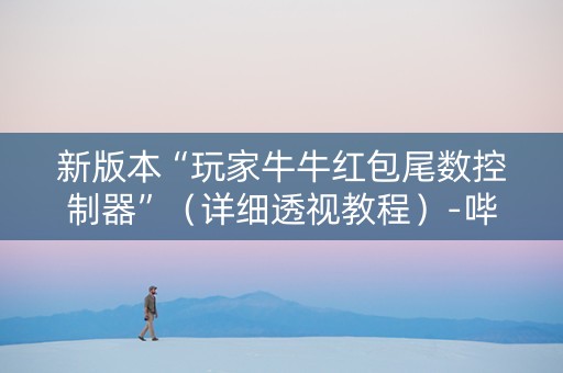 新版本“玩家牛牛红包尾数控制器”（详细透视教程）-哔哩哔哩