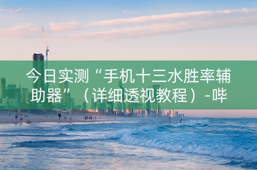 今日实测“手机十三水胜率辅助器”（详细透视教程）-哔哩哔哩