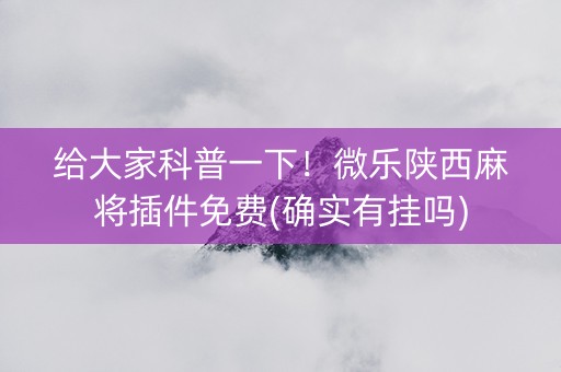 给大家科普一下！微乐陕西麻将插件免费(确实有挂吗)