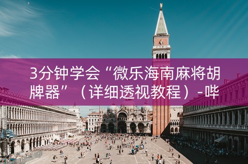 3分钟学会“微乐海南麻将胡牌器”（详细透视教程）-哔哩哔哩