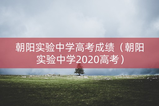 朝阳实验中学高考成绩（朝阳实验中学2020高考）