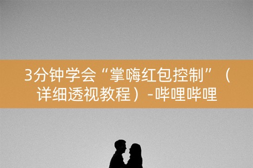 3分钟学会“掌嗨红包控制”（详细透视教程）-哔哩哔哩