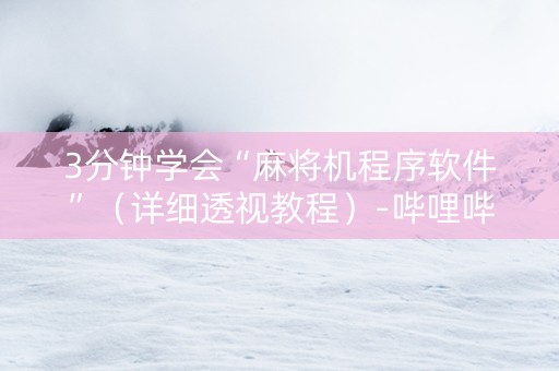 3分钟学会“麻将机程序软件”（详细透视教程）-哔哩哔哩