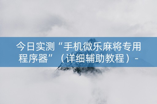 今日实测“手机微乐麻将专用程序器”（详细辅助教程）-哔哩哔哩