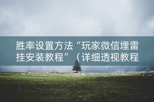 胜率设置方法“玩家微信埋雷挂安装教程”（详细透视教程）-哔哩哔哩