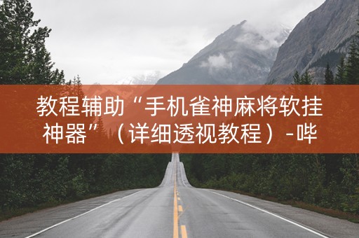 教程辅助“手机雀神麻将软挂神器”（详细透视教程）-哔哩哔哩