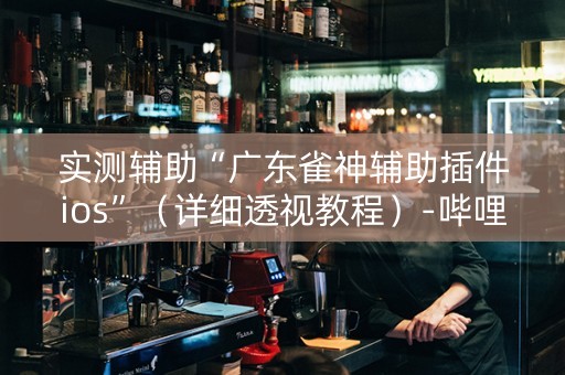 实测辅助“广东雀神辅助插件ios”（详细透视教程）-哔哩哔哩