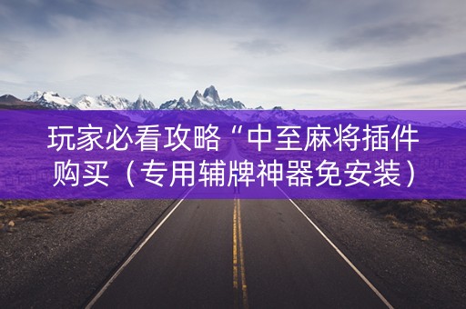 玩家必看攻略“中至麻将插件购买（专用辅牌神器免安装）