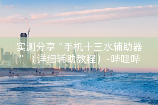实测分享“手机十三水辅助器”（详细辅助教程）-哔哩哔哩
