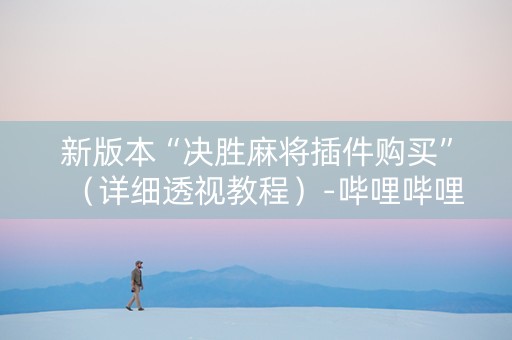 新版本“决胜麻将插件购买”（详细透视教程）-哔哩哔哩