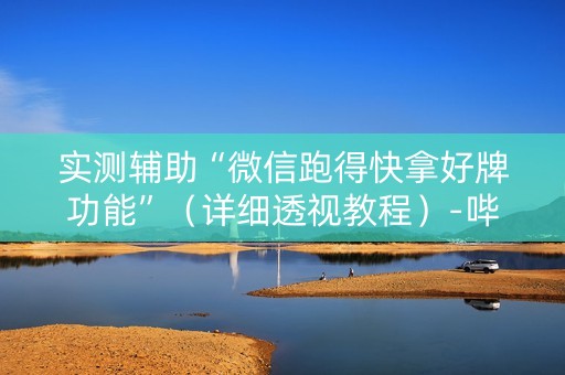 实测辅助“微信跑得快拿好牌功能”（详细透视教程）-哔哩哔哩