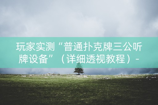 玩家实测“普通扑克牌三公听牌设备”（详细透视教程）-哔哩哔哩