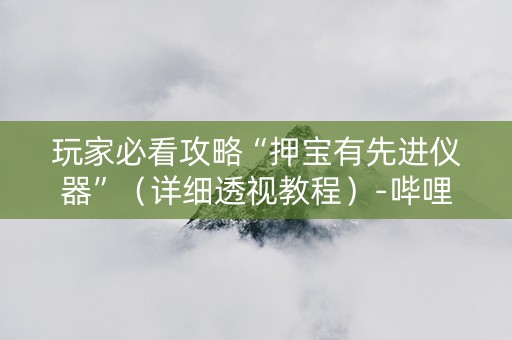 玩家必看攻略“押宝有先进仪器”（详细透视教程）-哔哩哔哩