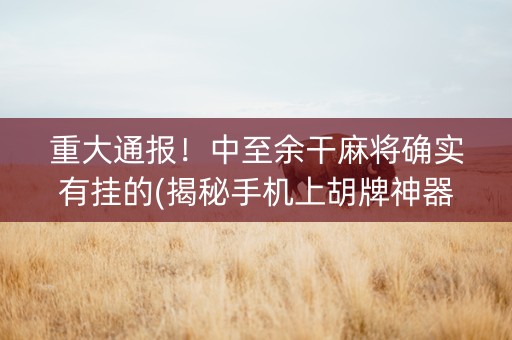 重大通报！中至余干麻将确实有挂的(揭秘手机上胡牌神器)