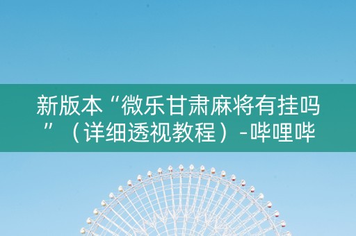 新版本“微乐甘肃麻将有挂吗”（详细透视教程）-哔哩哔哩