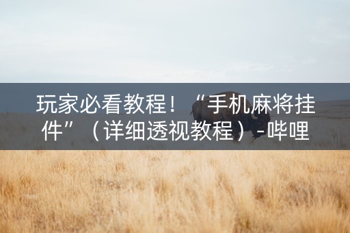 玩家必看教程！“手机麻将挂件”（详细透视教程）-哔哩哔哩