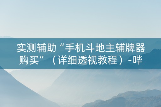 实测辅助“手机斗地主辅牌器购买”（详细透视教程）-哔哩哔哩