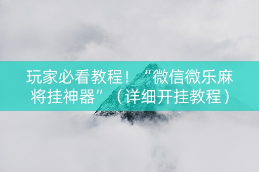 玩家必看教程！“微信微乐麻将挂神器”（详细开挂教程）-哔哩哔哩