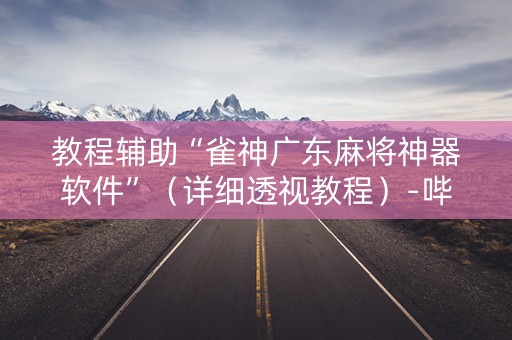 教程辅助“雀神广东麻将神器软件”（详细透视教程）-哔哩哔哩