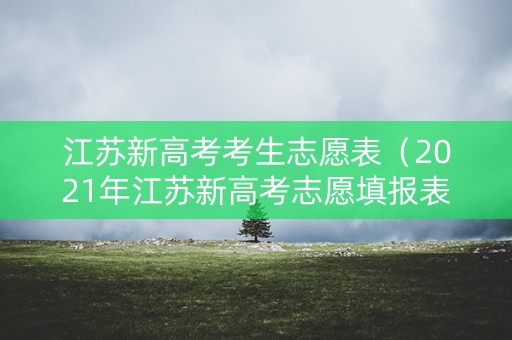 江苏新高考考生志愿表（2021年江苏新高考志愿填报表）