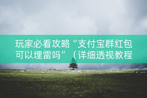 玩家必看攻略“支付宝群红包可以埋雷吗”（详细透视教程）-哔哩哔哩