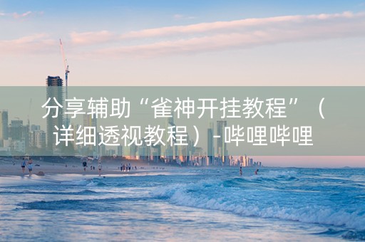 分享辅助“雀神开挂教程”（详细透视教程）-哔哩哔哩