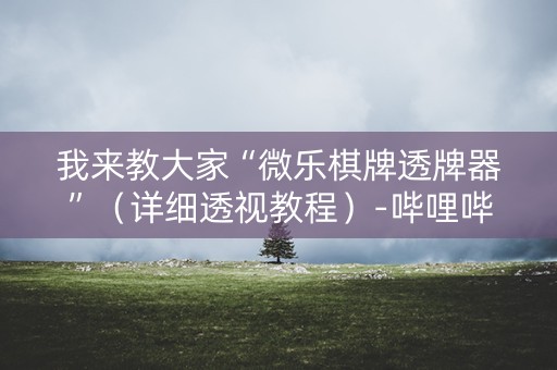 我来教大家“微乐棋牌透牌器”（详细透视教程）-哔哩哔哩