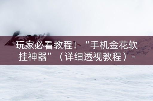 玩家必看教程！“手机金花软挂神器”（详细透视教程）-哔哩哔哩