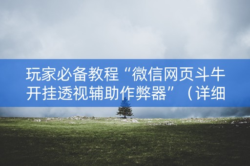 玩家必备教程“微信网页斗牛开挂透视辅助作弊器”（详细透视教程）-哔哩哔哩