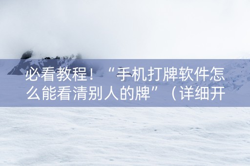 必看教程！“手机打牌软件怎么能看清别人的牌”（详细开挂教程）-哔哩哔哩