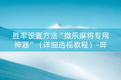 胜率设置方法“微乐麻将专用神器”（详细透视教程）-哔哩哔哩