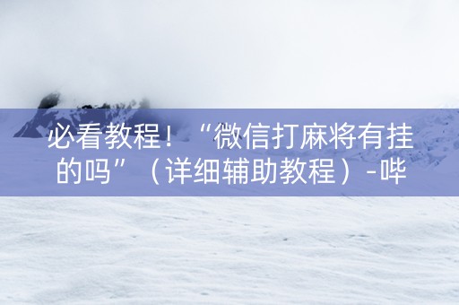 必看教程！“微信打麻将有挂的吗”（详细辅助教程）-哔哩哔哩