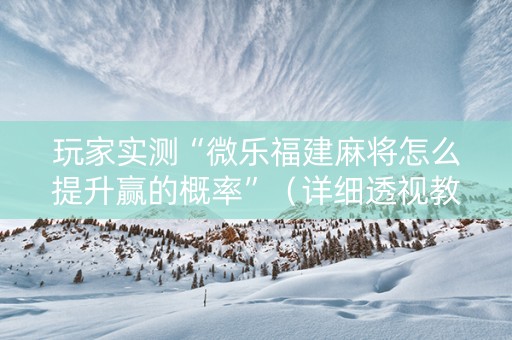 玩家实测“微乐福建麻将怎么提升赢的概率”（详细透视教程）-哔哩哔哩