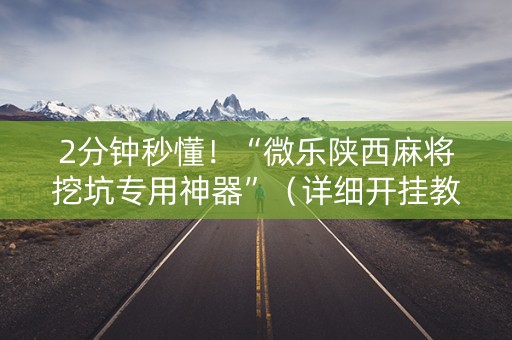 2分钟秒懂！“微乐陕西麻将挖坑专用神器”（详细开挂教程）-哔哩哔哩