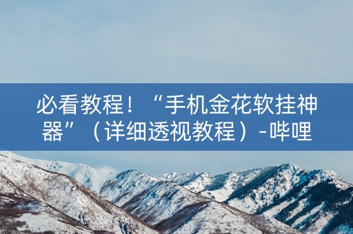 必看教程！“手机金花软挂神器”（详细透视教程）-哔哩哔哩